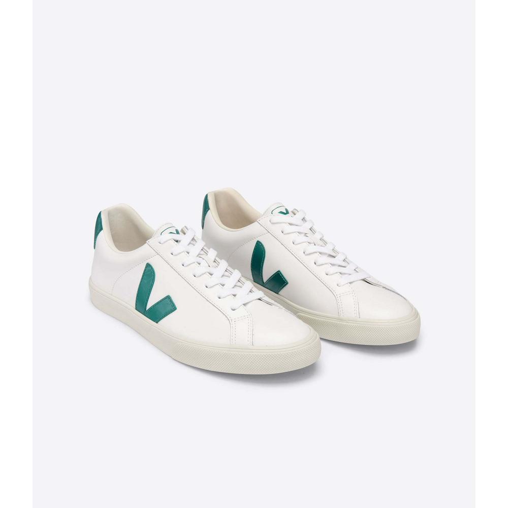 Men's Veja ESPLAR LEATHER Sneakers White/Green | ZA 305ZUT